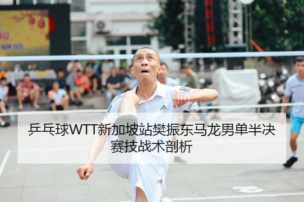 乒乓球WTT新加坡站樊振东马龙男单半决赛技战术剖析