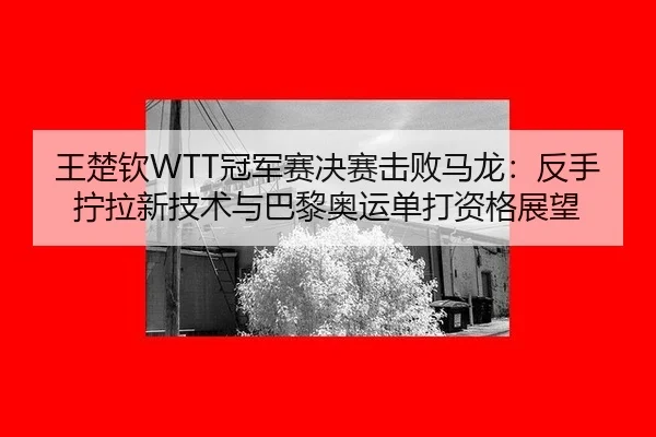 wang-chu-qin-guan-jun-sai-jue-sai-ji-bai-ma-long-fan-shou-ning-la-xin-ji-shu-yu-ba-li-ao-yun-dan-da-zi-ge-zhan-wang-2-139.jpg